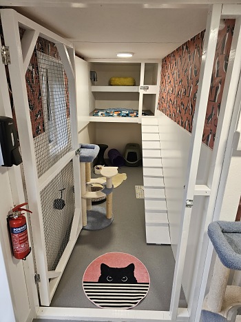 Meow Pen